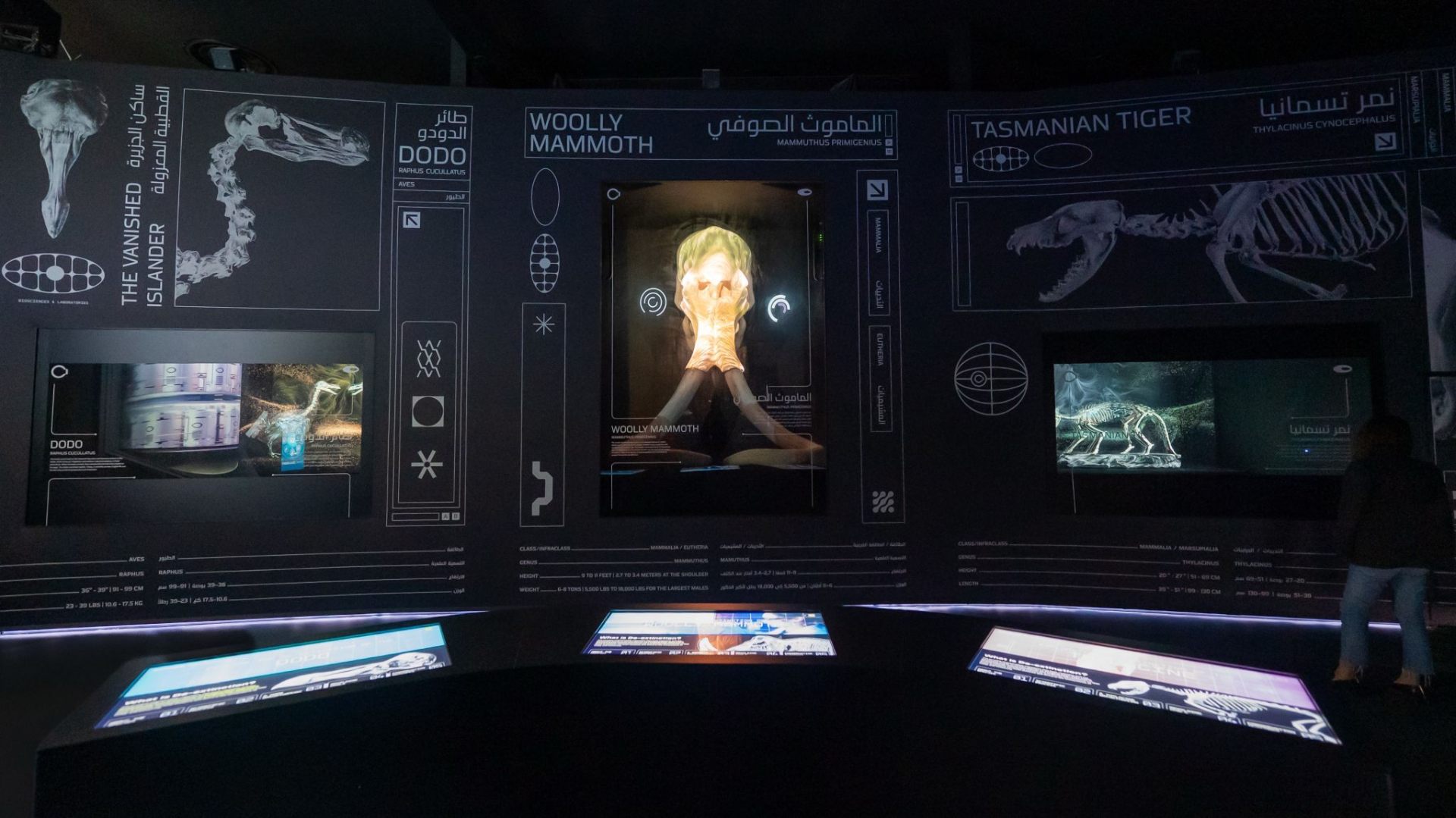 Immersive gallery build in Dubai